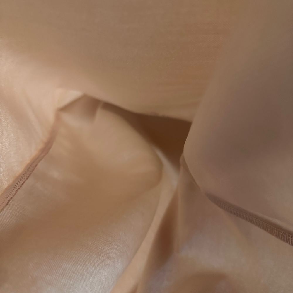 Stuart Weitzman Blush Drawstring Dustbag - image 6